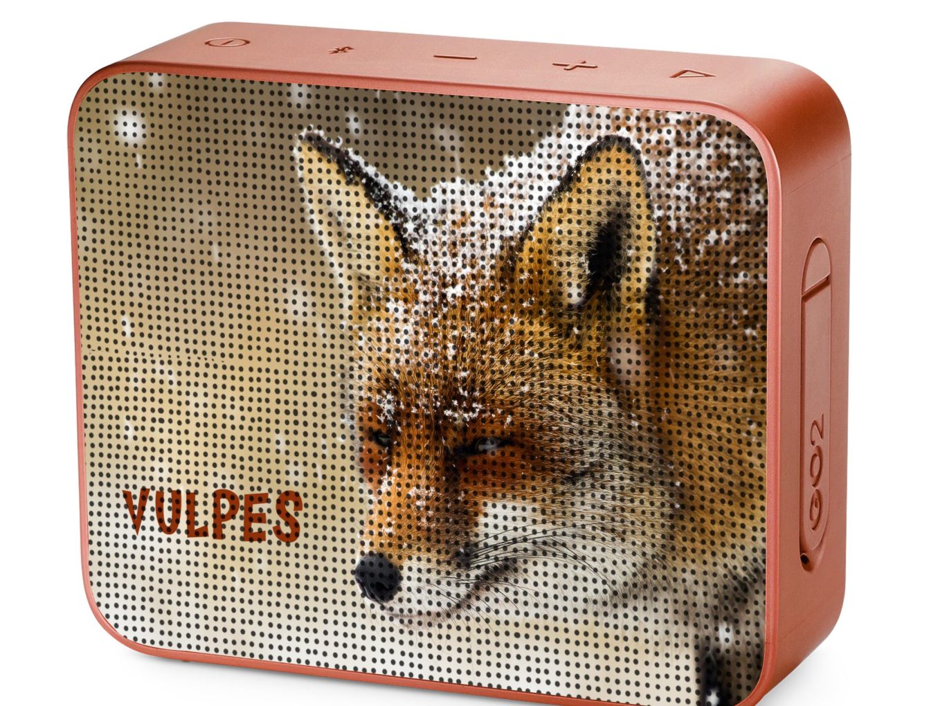 JBL Go 2 Personalized