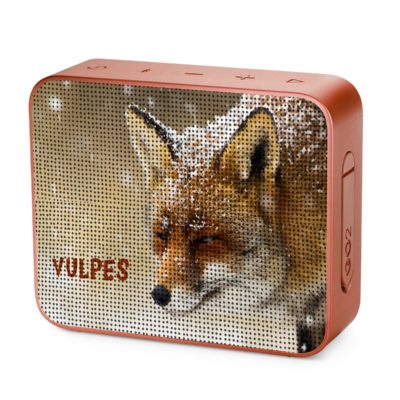 JBL Go 2 Personalized