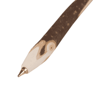 Ast Stift