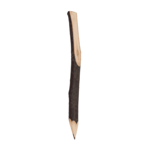 Ast Stift