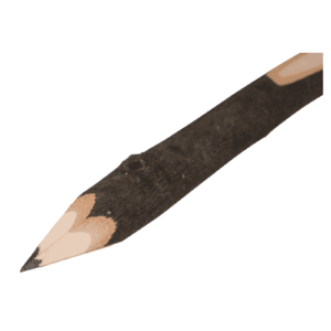 Ast Stift